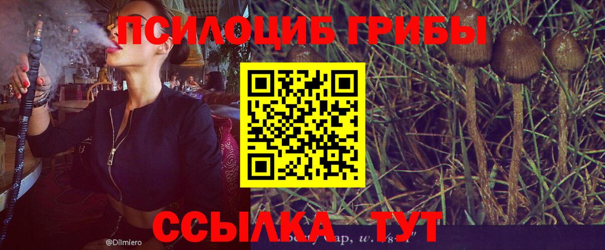 Псилоцибиновые грибы GOLDEN TEACHER  Вход с VPN  Печора 