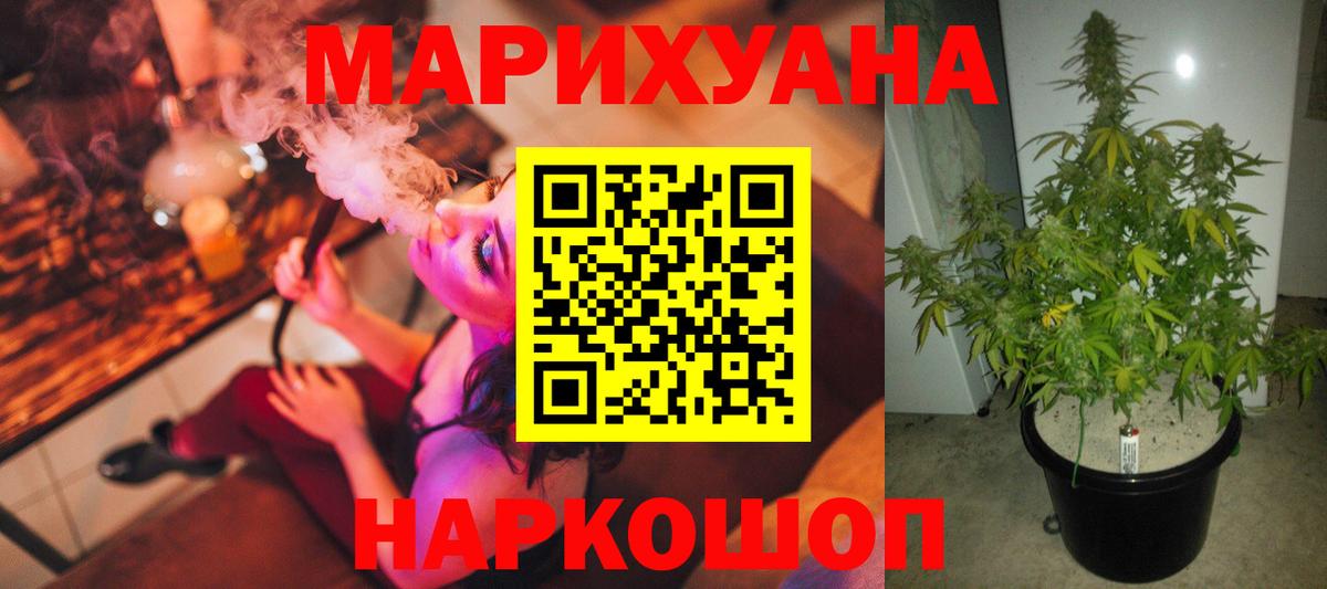 Печора  Бошки марихуана сатива  Каннабис тримм  МАРИХУАНА планчик  Вход с VPN 